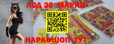 гидропоника Жуковский